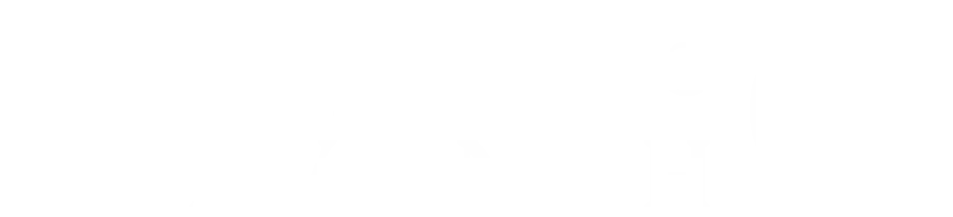 دلوانه